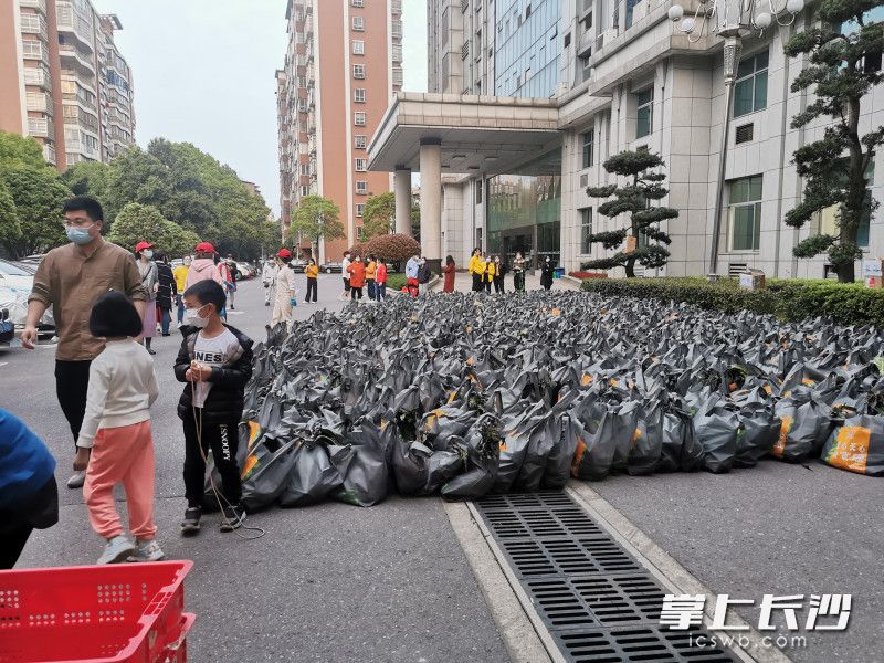 780份蔬菜包送到了湘林小區(qū)院內(nèi)。長沙晚報(bào)實(shí)習(xí)生 羅楊 攝